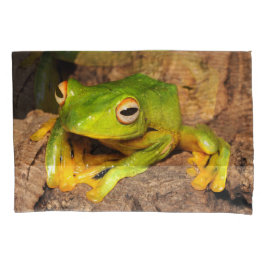 Sapo de deslizamento Preto-Webbed vietnamiano