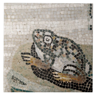 Sapo, mosaico de Nile, da casa do Faun