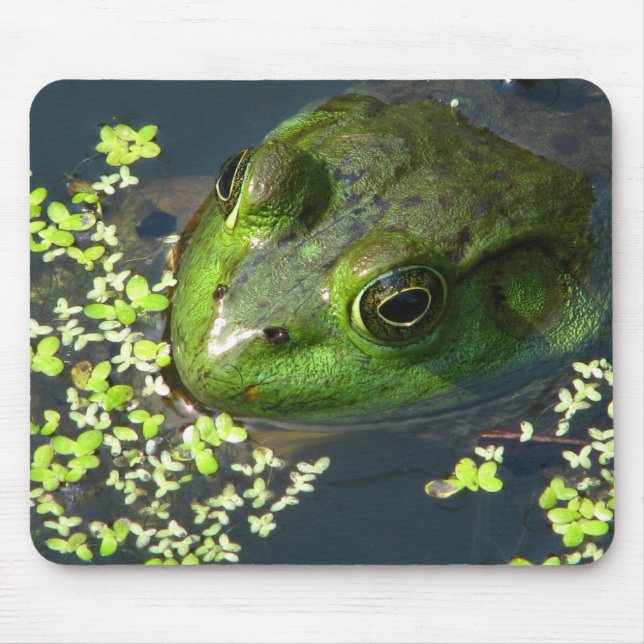 Sapo Mousepad (Frente)