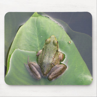 Sapo Mousepad