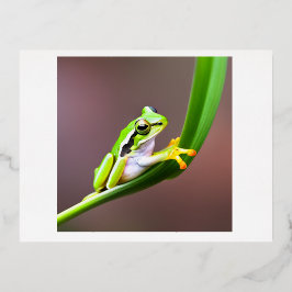 sapo no cartão-postal folha