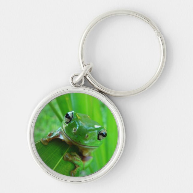 Sapo verde de árvore no Chaveiro folha (Frente)