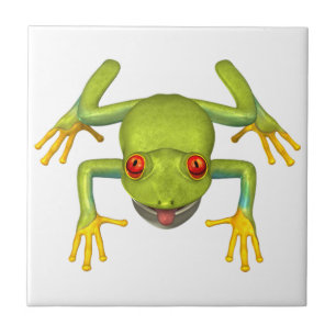 Sapo verde em árvore