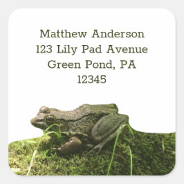Sapo Verde sobre as etiquetas de endereço de Mossy