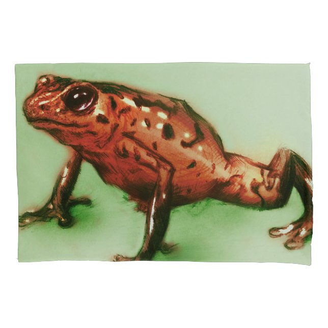 Sapo vermelho, esboço realístico do animal (Frente)