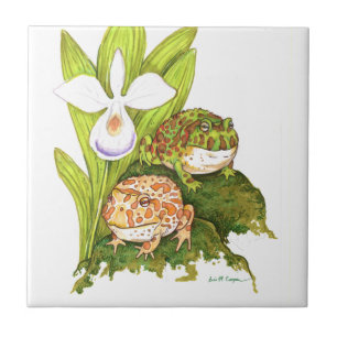 Sapos com ornamentado