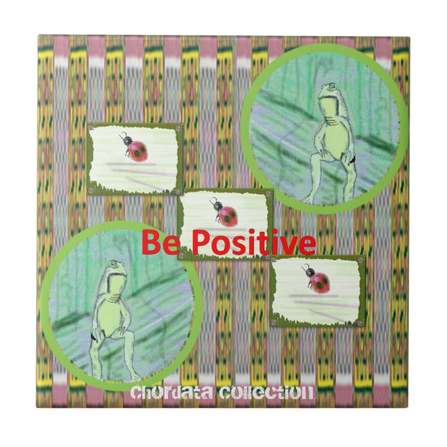 Sapos da coleção de Chordata e joaninhas Trivets a (Frente)