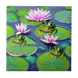 Sapos De Lotus E Lily Pad