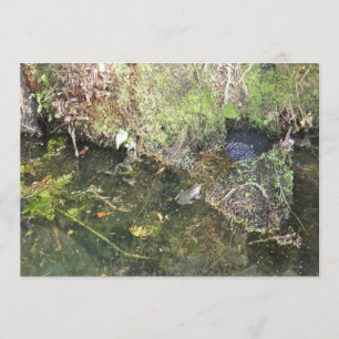 Sapos e Sapos Deslocados em um Convite de Ponta