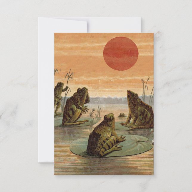 Sapos Lily Pads Ilustração da Lua (Frente)