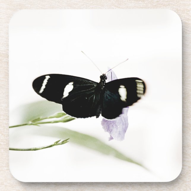 Sara Cork Porta copos (Frente)