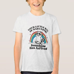 Sarcastic Raccoon Rainbow