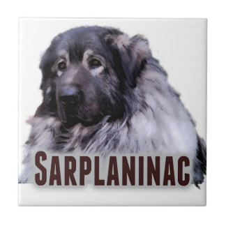 Sarplaninac
