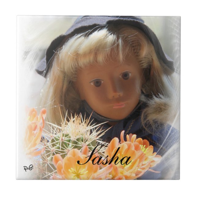 Sasha Scout lajota (Frente)