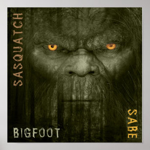 SASQUATCH,BIGFOOTPrint, Papel Poster de Valor (Mat