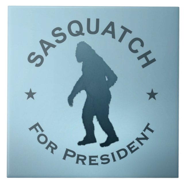 Sasquatch Para Presidente (Frente)