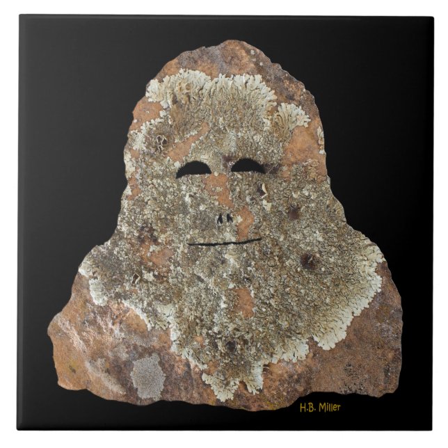 Sasquatch Rock Art (Frente)