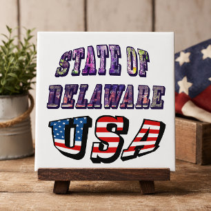 Sate of Delaware Picture and USA Flag Text