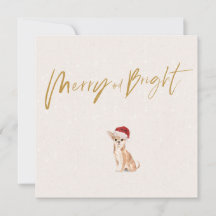 Saudação de Feliz de Chihuahua no Natal