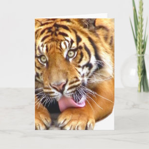 Saudações_ Cartão