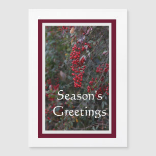 Saudações da Época das Amoras Vermelhas