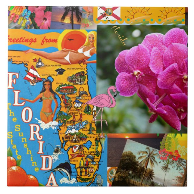 Saudações da Flórida (Frente)