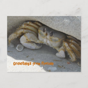 Saudações da Flórida cartão postal