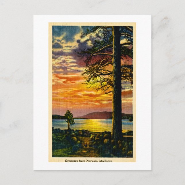 Saudações da Noruega, Michigan - Cartão postal Vin (Frente)