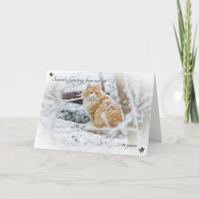Saudações da temporada do nosso gato ao seu cartão (Frente)