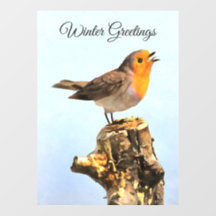 Saudações de Inverno. Robin cantando