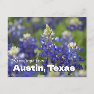 Saudações do cartão postal Bluebonnets de Austin T