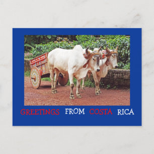 Saudações Do Cartão Postal Costa Rica (oxen &oxcar