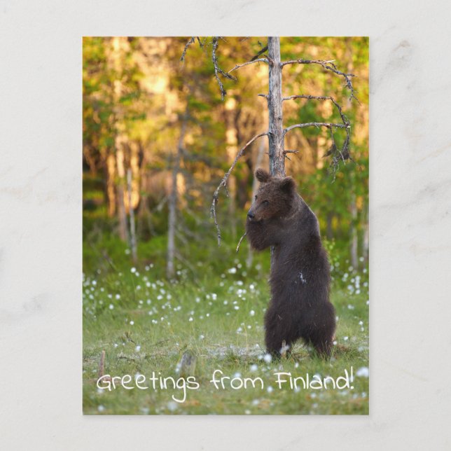 Saudações do cartão postal da Finlândia (Frente)