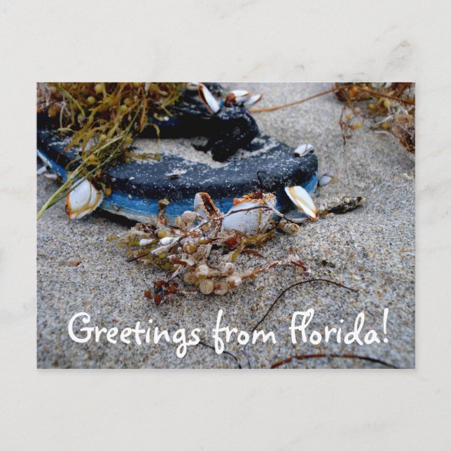 Saudações do Cartão Postal da Flórida (Frente)