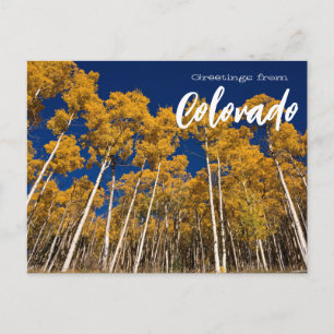 Saudações do cartão postal das árvores de Aspen do