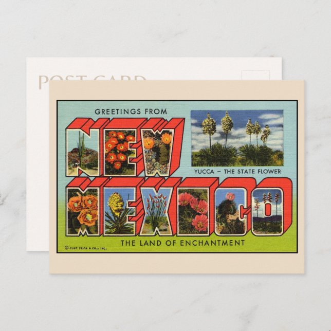 Saudações do Cartão Postal do Novo México (Frente/Verso)