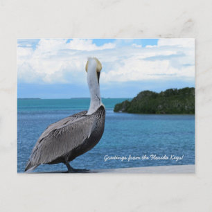 Saudações do cartão postal dos Florida Keys