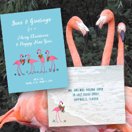 Saudações do Mar Flamingos Cartão Postal de Férias