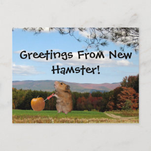 Saudações Do Novo Hamster! Cartão Postal