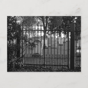 Saudações Graveyard! - Cartão postal nº 1