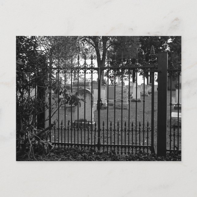 Saudações Graveyard! - Cartão postal nº 1 (Frente)
