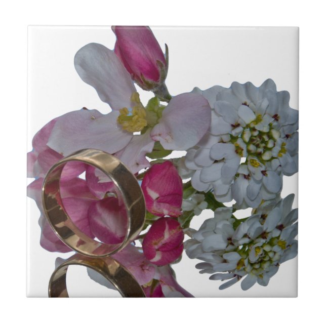 Saudações - Saúde (Frente)