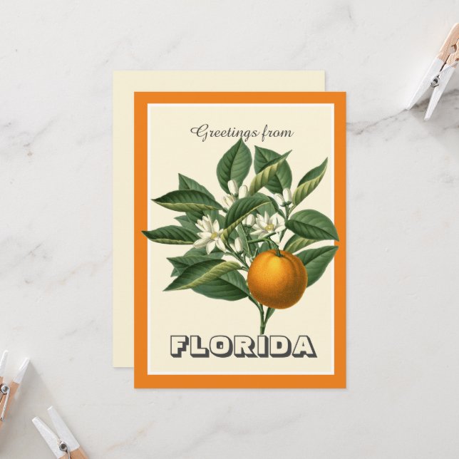 Saudações Vintage da Flórida com Fruta Laranja  (Frente/Verso In Situ)