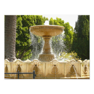 Sausalito Fountain California Viagem Fotografia