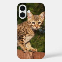 Savannah Cat capa de telefone