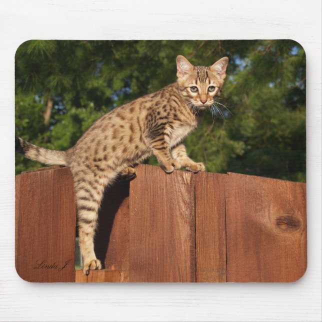 Savannah Cat Mousepad (Frente)