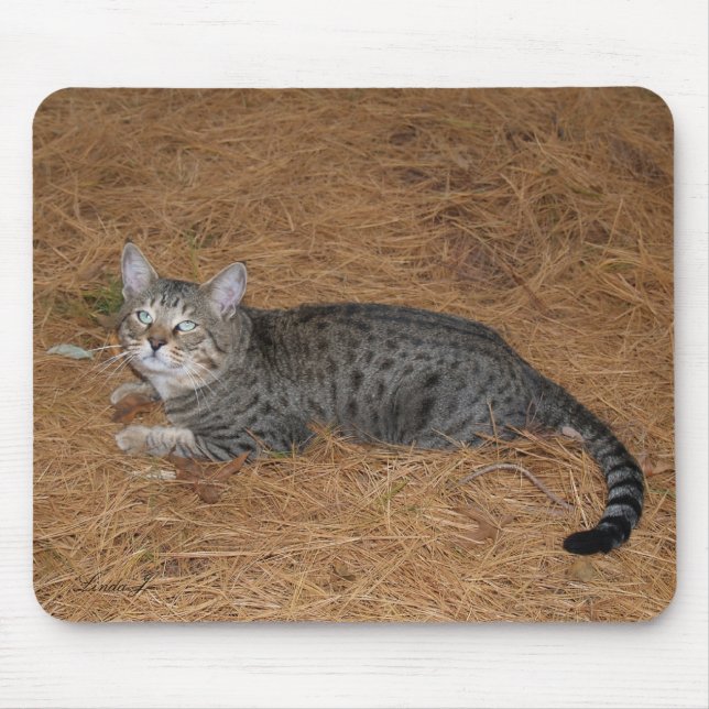 Savannah Cat Mousepad (Frente)