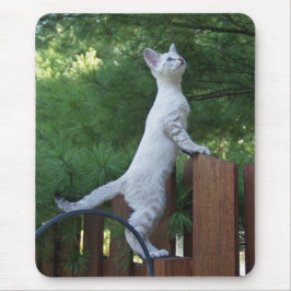 Savannah Cat Mousepad