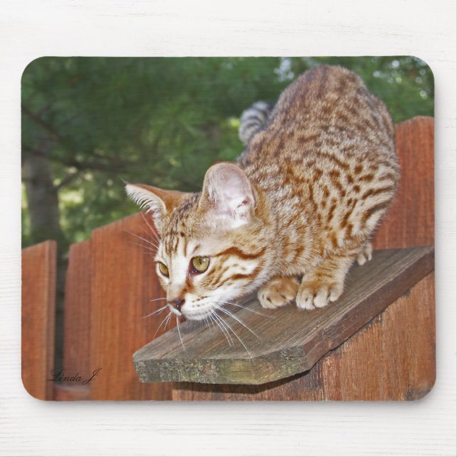 Savannah Cat Mousepad (Frente)