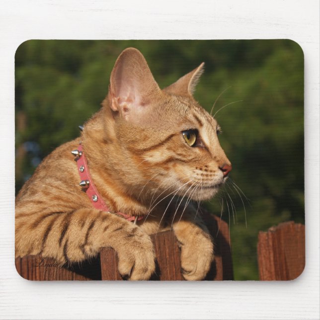 Savannah Cat Mousepad (Frente)